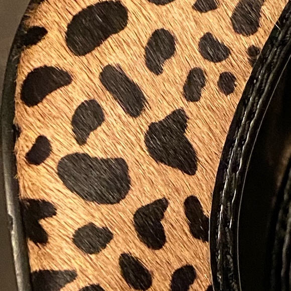 BANDOLINO 7M - Picture 3 of 3